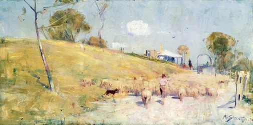 Summer Droving, Australia